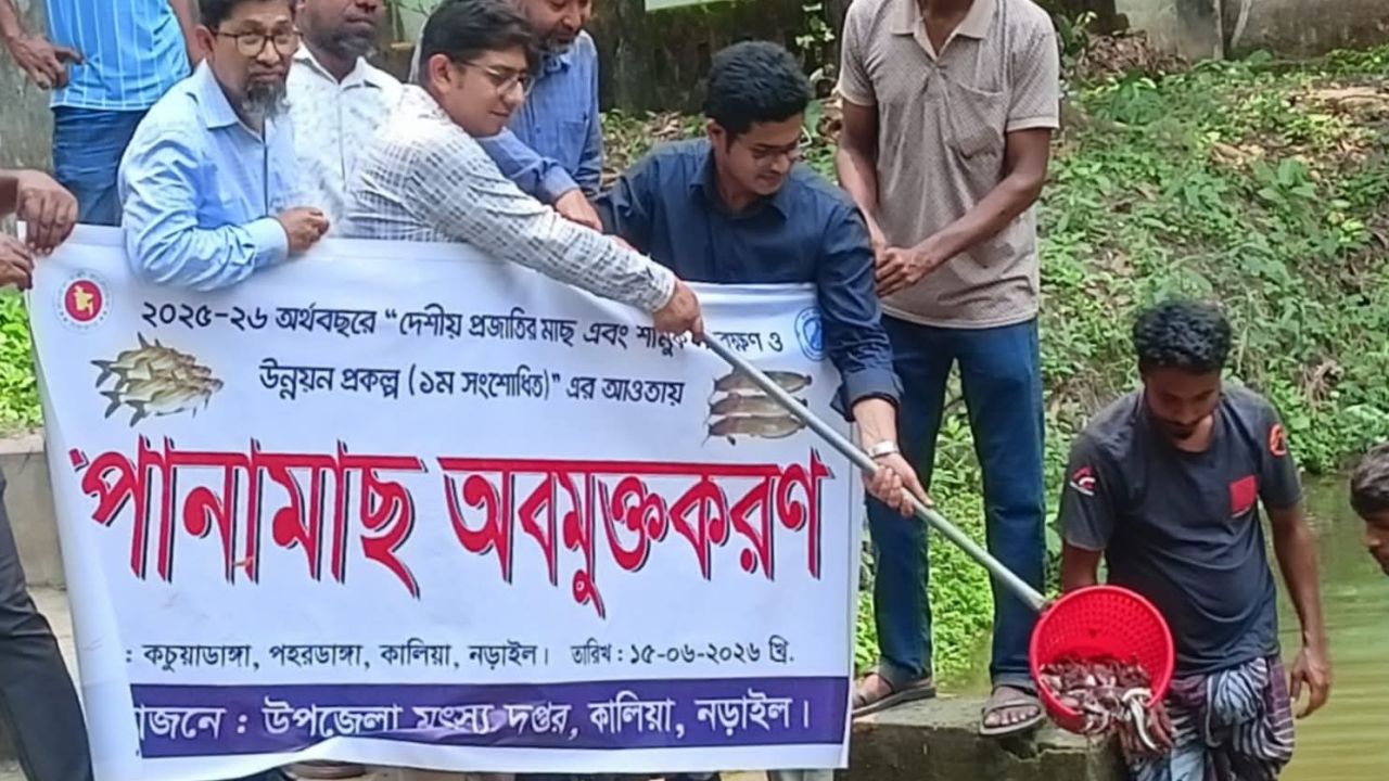 কালিয়ার বিলে ছাড়ল ৩২০ কেজি দেশীয় মাছের পোনা