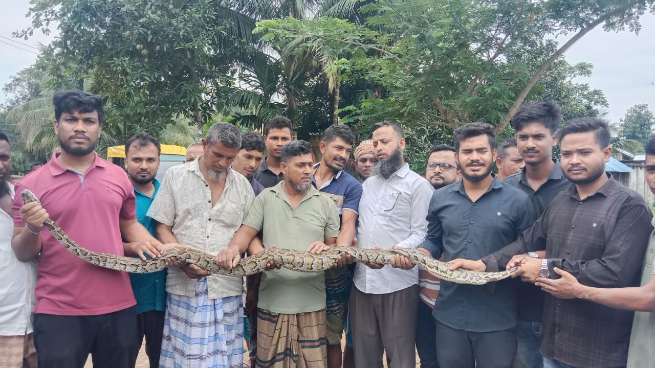 মাছ ধরার জালে ধরা পড়ল ৮ ফুটের বার্মিজ অজগর, দীঘিনালায় উদ্ধার শেষে বন বিভাগের জিম্মায়