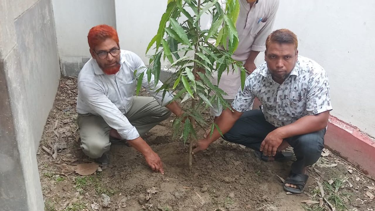 নীলফামারীতে লেইস কতৃক জলবায়ু মোকাবিলায়  বৃক্ষ রোপণ ও আলোচনা সভা