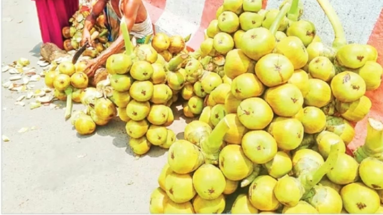 তাড়াশে তীব্র গরমে তালের শাঁসের বাজারে ক্রেতার ভিড়