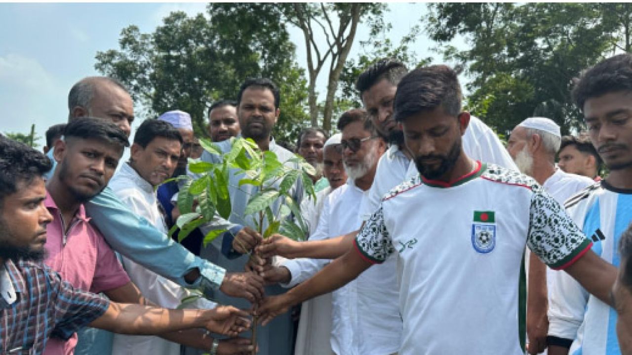 ওসমানীনগরে বিএনপির বৃক্ষরোপণ কর্মসূচি শুরু