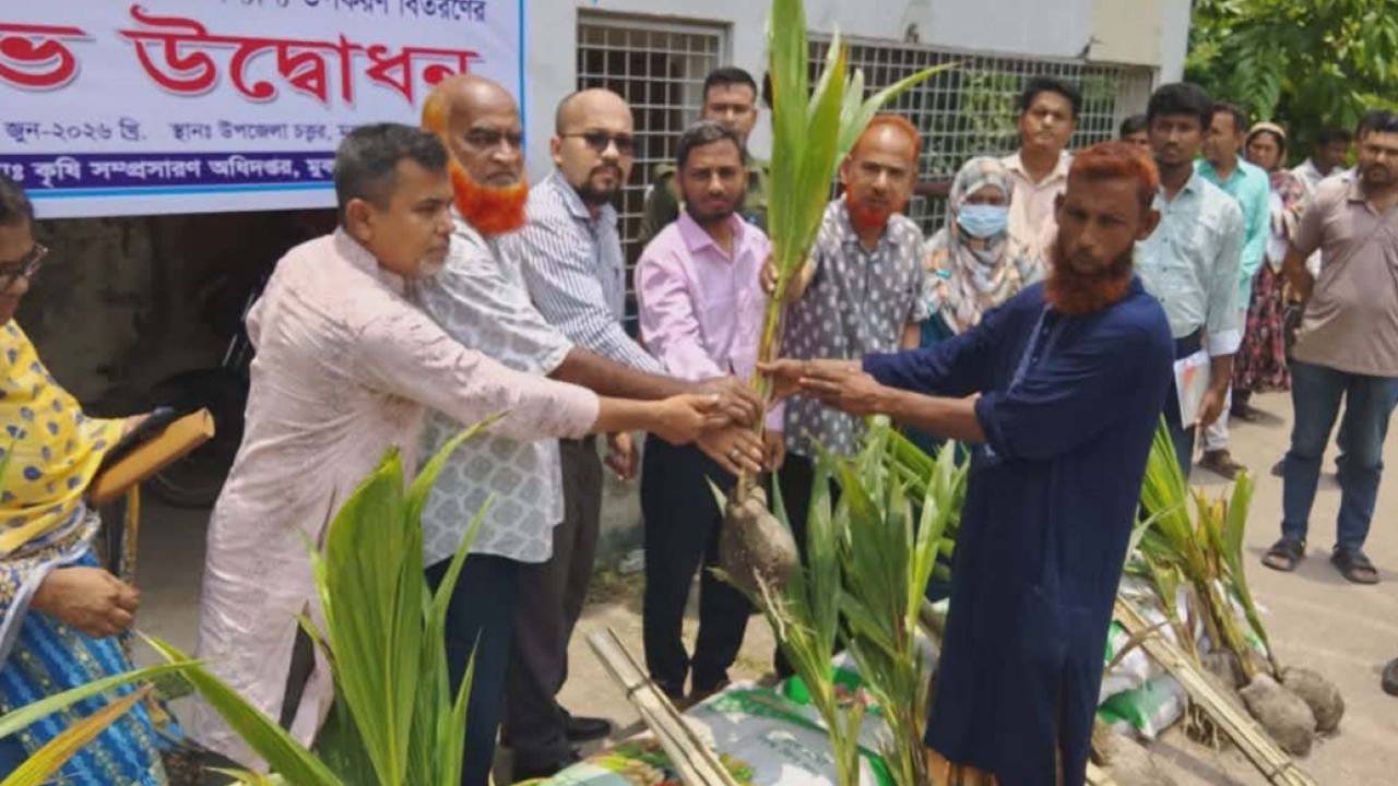 মুকসুদপুরে কৃষকের মাঝে বিনামূল্যে নারকেল গাছের চারা ও সার বিতরণ 
