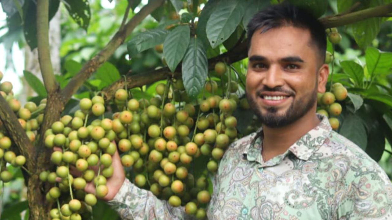 দেবীগঞ্জে চাকরির পাশাপাশি লটকন চাষে সফল বিজিবি সদস্য রাসেল
