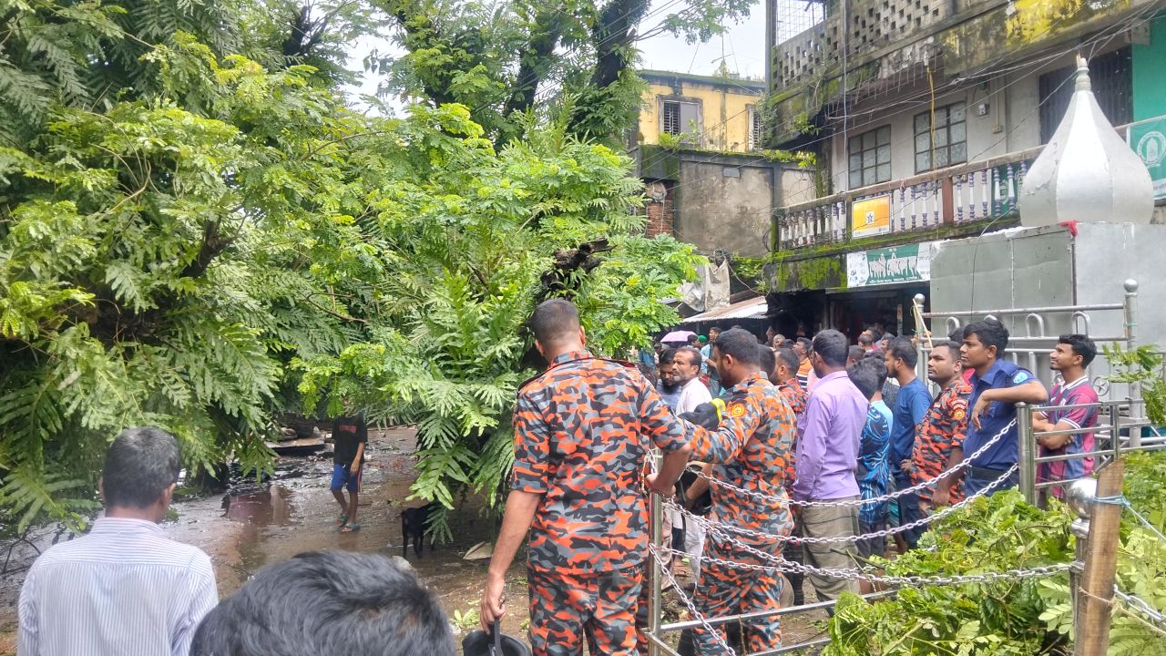 অতিবৃষ্টিতে উপড়ে পড়ল মধ্যনগর বাজারের শতবর্ষী রেন্টি গাছ, অল্পের জন্য এড়ানো গেল বড় দুর্ঘটনা