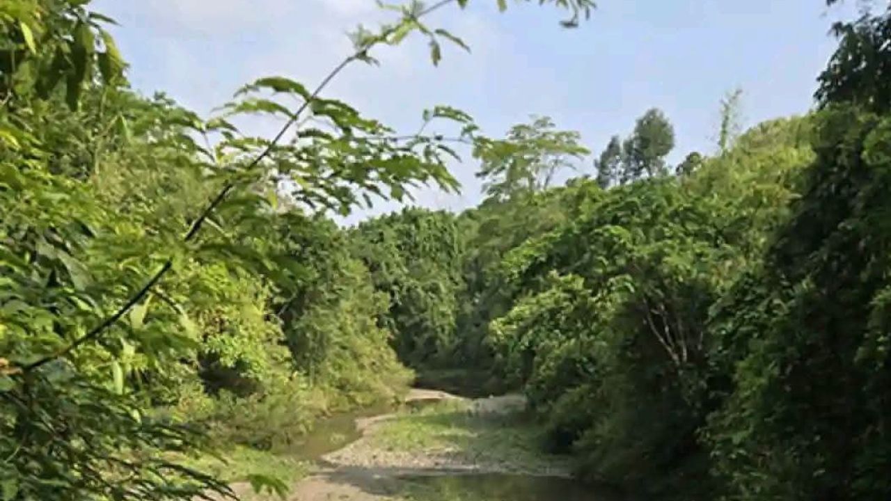 আলীকদম সীমান্তে রাতের আঁধারে রোহিঙ্গা অনুপ্রবেশের অভিযোগ, সক্রিয় মানবপাচারকারী চক্র