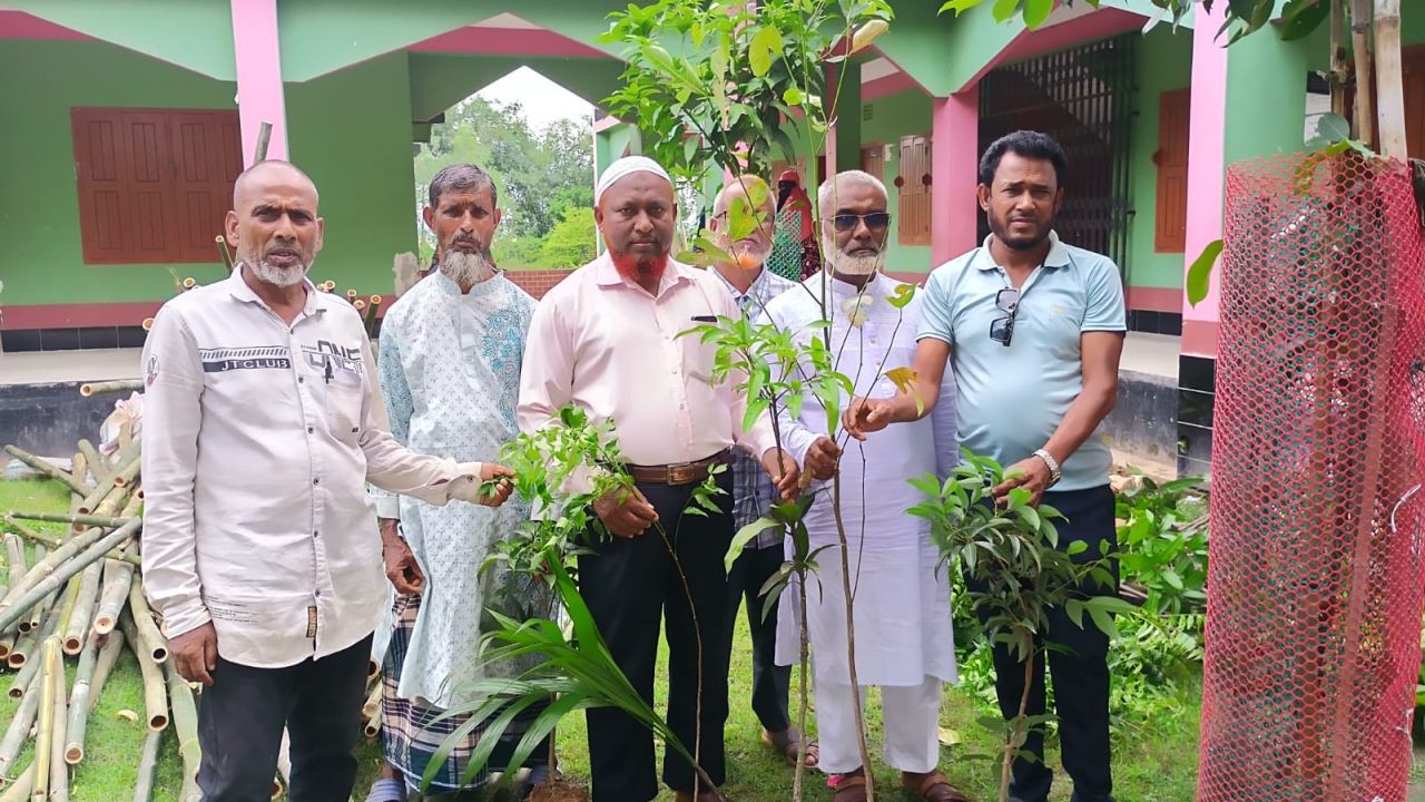 দিওড় ইউনিয়নে কৃষক দলের উদ্যোগে সরকারি চারাগাছ বিতরণ কর্মসূচি পালন