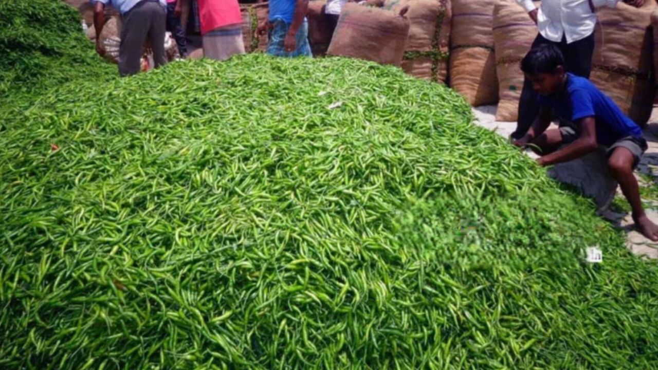 কটিয়াদীতে কাঁচা মরিচের কেজি ৪০০ টাকা , দিশেহারা সাধারণ মানুষ ‎