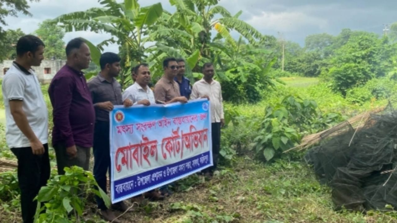 সালথায় বিশেষ অভিযানে ৩৫টি নিষিদ্ধ চায়না দুয়ারি জাল জব্দ পুড়িয়ে ধ্বংস