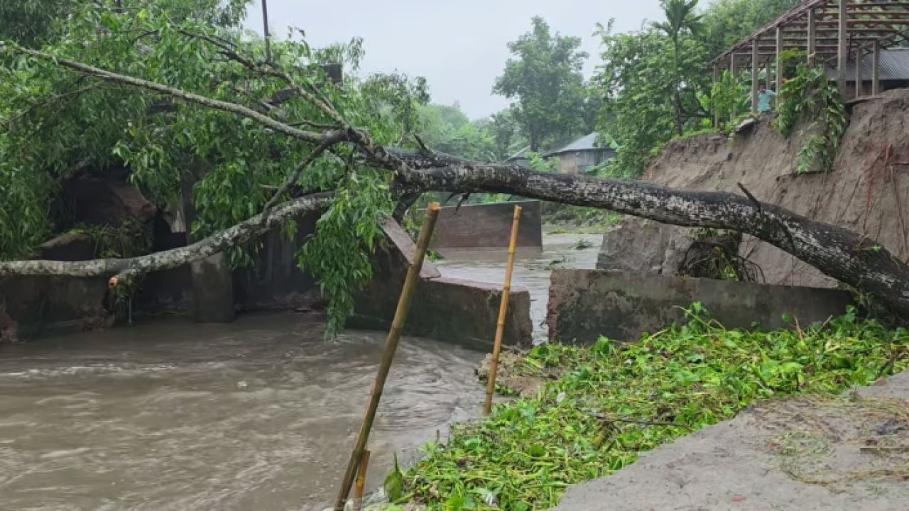 ডোমারে হরিডারা নদীর স্লুইসগেট ধসে বসতবাড়ি নদীগর্ভে, ঝুঁকিতে শত শত বিঘা কৃষিজমি