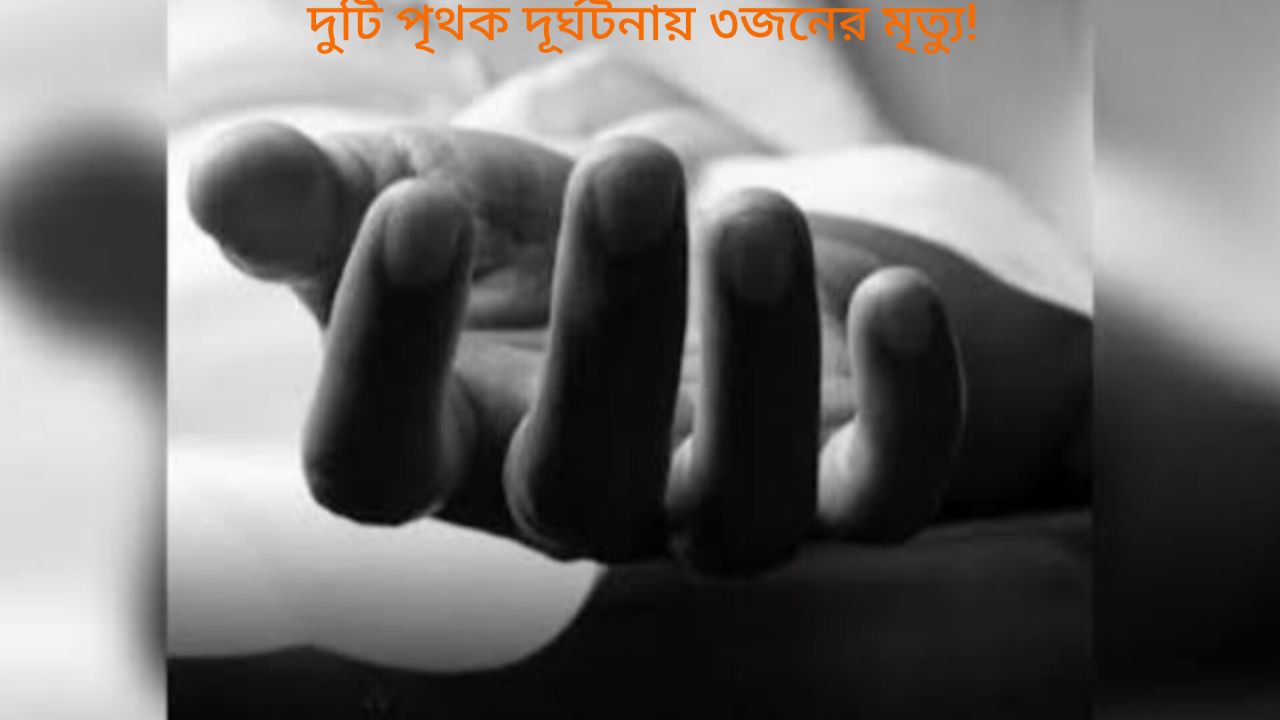 নীলফামারীতে পৃথক দুর্ঘটনায় দুই শিশুসহ ৩ জনের মৃত্যু