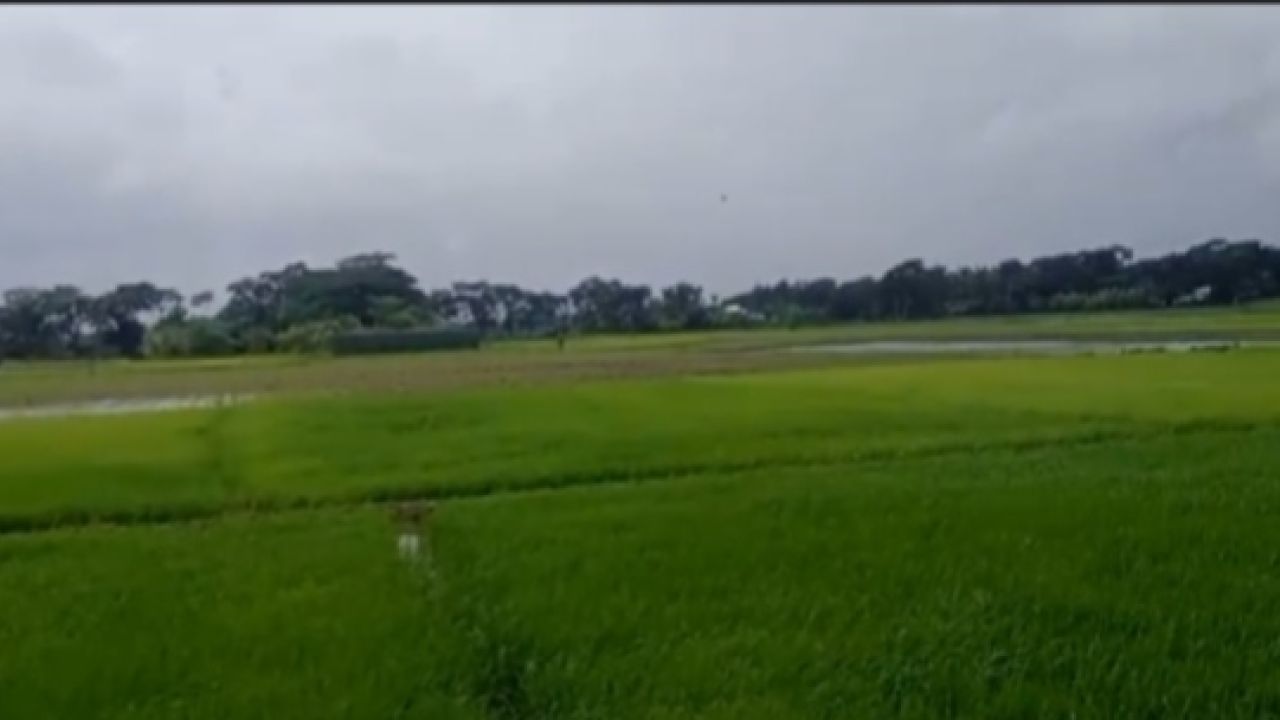 গলাচিপায় পৈত্রিক সম্পত্তি নিয়ে সংঘাত: আদালতের নির্দেশনা নিয়ে প্রশ্ন?