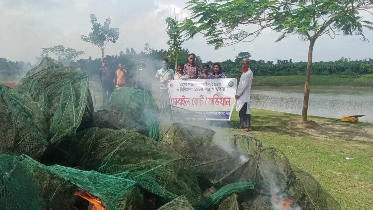 বদলগাছীতে ‘চায়না দুয়ারী’ জালের ছড়াছড়ি, অভিযানে জব্দ করে পুড়িয়ে ধ্বংস