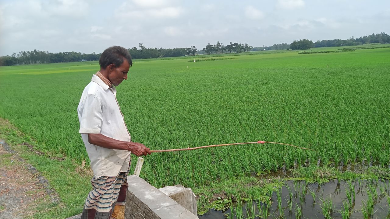 ১ টাকার বঁড়শিতে ৩৭ বছরের সংসার, নীলফামারীর দীনেশ রায়ের জীবনসংগ্রাম