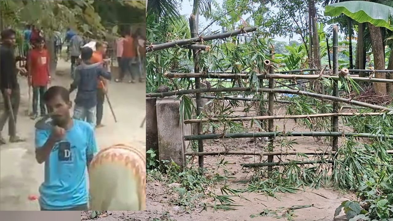 মান্দায় জমি দখলের অভিযোগে ধান নষ্ট, প্রাণনাশের হুমকি