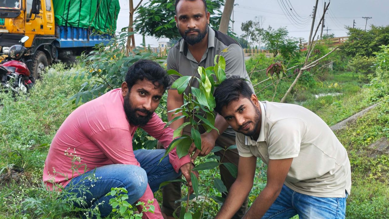 সবুজ নওগাঁ গড়ার প্রত্যয়ে বেকার বৃক্ষরোপণ ও বিতরণ 