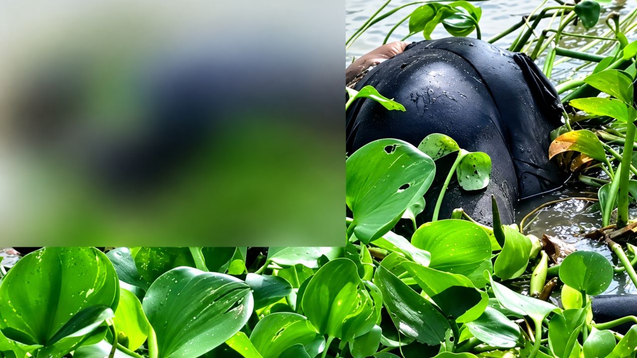 শরীয়তপুরে নদীতে অজ্ঞাত ব্যক্তির মরদেহ, এলাকায় চাঞ্চল্য