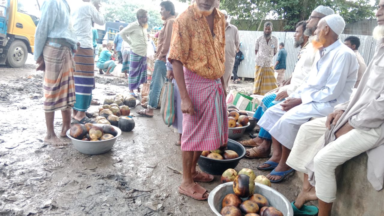 তাড়াশে  জমে উঠেছে 'পাকা তাল' বিক্রি! 