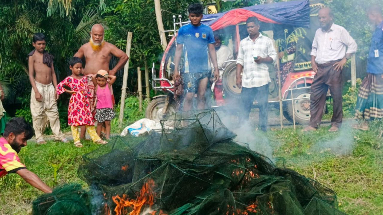 মুকসুদপুরে চায়না জাল পুড়িয়ে ধ্বংস