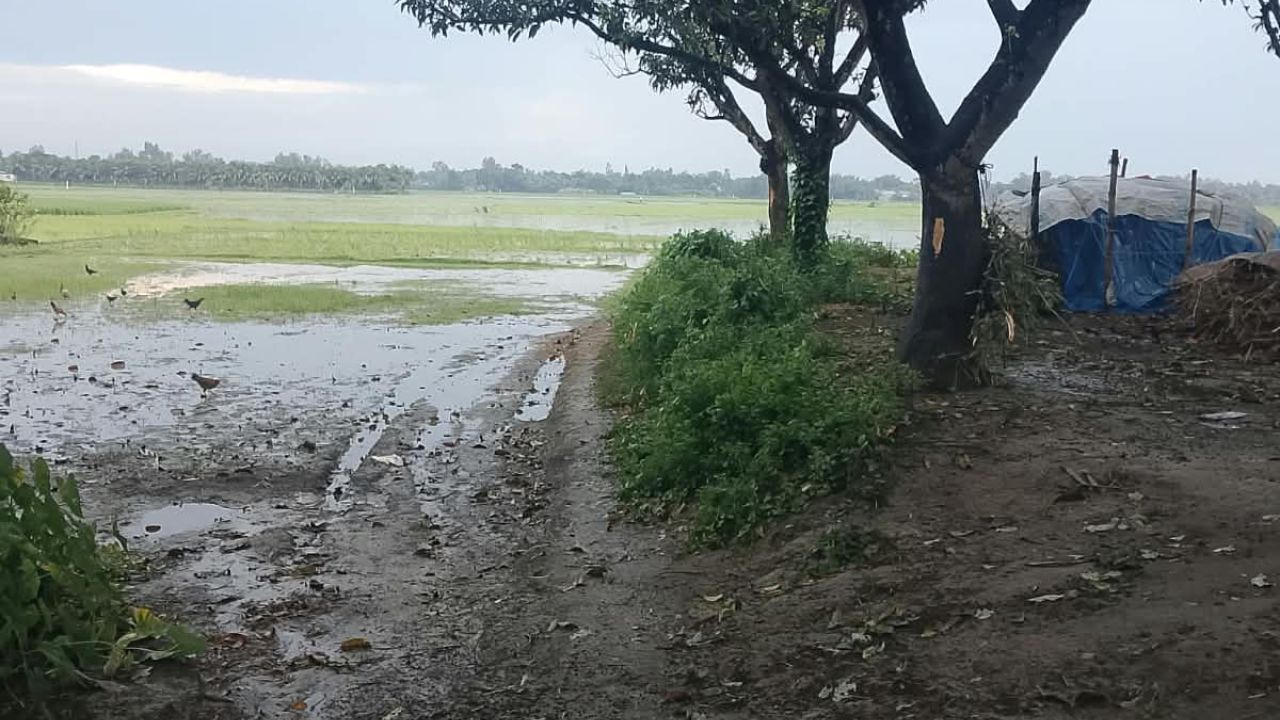 ‘কাজ না করার অভিযোগ ভিত্তিহীন’, পানি নামলেই রাস্তার কাজ: পিআইও