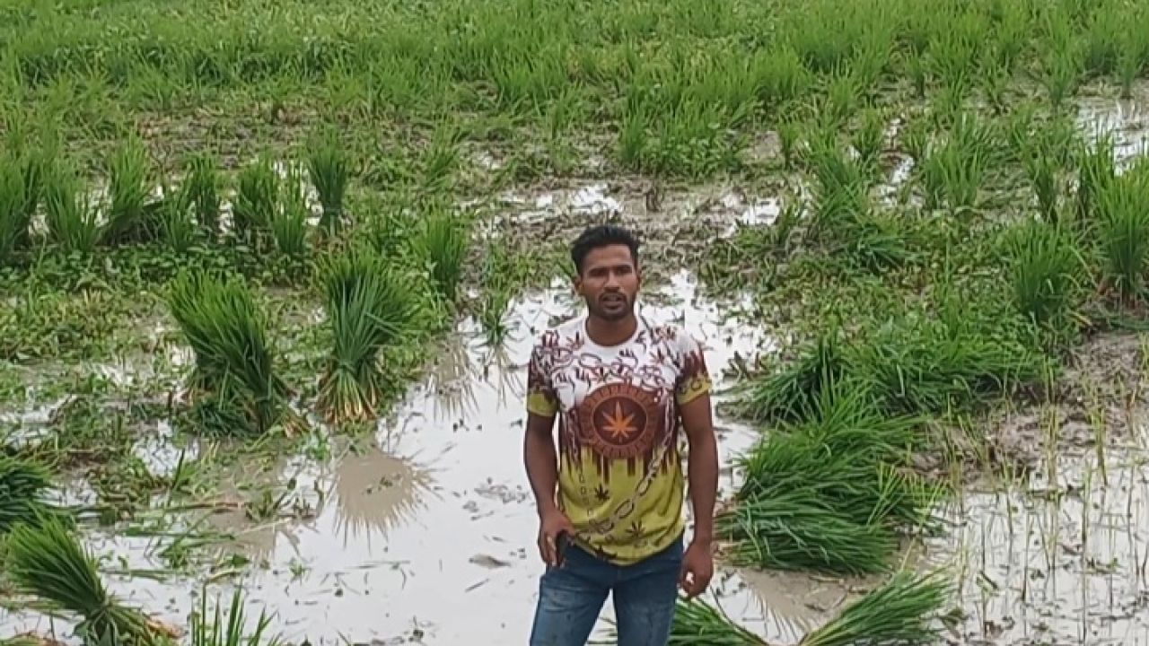 আদালতের আদেশ অমান্যের অভিযোগে বাদী-বিবাদী মুখোমুখি পাওয়ার ট্রীলার আটক