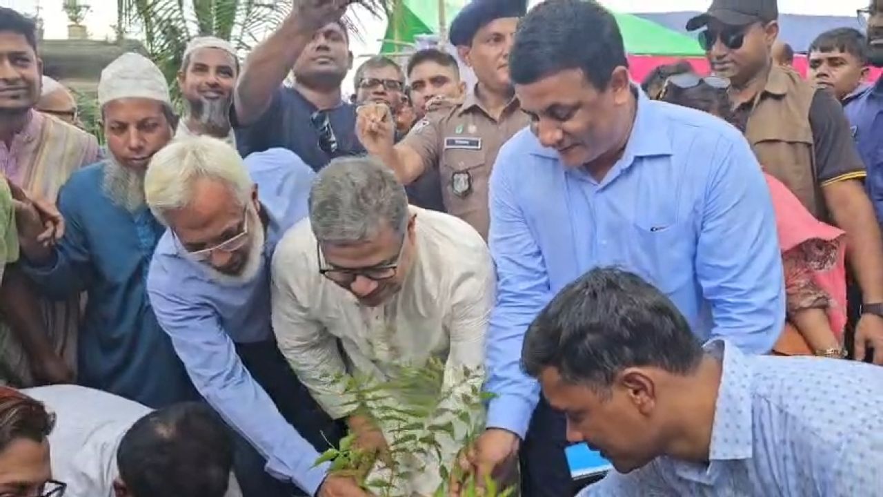 ভাঙ্গায় ৩২৫ কৃষকের মাঝে ফলদ ও বনজ গাছের চারা বিতরণ  ভাঙ্গা ফরিদপুর প্রতিনিধি: কৃষকের বাড়ির আঙিনা ও পতিত জমিকে কাজে লাগিয়ে ফলদ ও বনজ গাছের বাগান গড়ে তোলার আহ্বান জানিয়েছেন ফরিদপুর-৪ আসনের সংসদ সদস্য মো. শহিদুল ইসলাম  খান বাবুল। তিনি বলেন, &ampldquoএকটি গাছ যেমন পরিবেশের ভারসাম্য রক্ষা করে, তেমনি ফলদ গাছ ভবিষ্যতে কৃষকের পরিবারের বাড়তি আয়ের উৎস হতে পারে। শুধু চারা হাতে তুলে দিলেই হবে না, প্রতিটি চারাকে সন্তানের মতো যত্ন নিয়ে বড় করে তুলতে হবে।&amprdquo রোববার ৩০ আগস্ট ফরিদপুরের ভাঙ্গা উপজেলার হামিরদী ইউনিয়নের ঈদগাহ মাঠে &amplsquoপার্টনারশিপ ইন ব্র্যাক ব্যাংক-ডিএই কৃষি উন্নয়ন প্রকল্প&amprsquo-এর আওতায় কৃষক-কৃষাণীদের মাঝে বিভিন্ন প্রজাতির ফলদ ও বনজ গাছের চারা বিতরণ অনুষ্ঠানে প্রধান অতিথির বক্তব্যে তিনি এসব কথা বলেন।  কৃষি সম্প্রসারণ অধিদপ্তর, ফরিদপুর অঞ্চলের অতিরিক্ত পরিচালক কৃষিবিদ মো. খয়ের উদ্দিন মোল্লার সভাপতিত্বে অনুষ্ঠানে বক্তারা বলেন, ফলদ ও বনজ গাছ কৃষকের পরিবারের পুষ্টির চাহিদা পূরণের পাশাপাশি ভবিষ্যতে বাড়তি আয়ের সুযোগ সৃষ্টি করতে পারে। একই সঙ্গে বৃক্ষরোপণের মাধ্যমে পরিবেশের ভারসাম্য রক্ষা, মাটির ক্ষয় রোধ এবং সবুজায়ন বাড়ানো সম্ভব। তিনি বলেন, চারা রোপণের পাশাপাশি নিয়মিত পরিচর্যা এবং প্রয়োজনীয় কৃষি পরামর্শ নেওয়া জরুরি। পরিকল্পিতভাবে ফলদ ও বনজ গাছের চাষ বাড়ানো গেলে কৃষি ও পরিবেশ&ampmdashউভয় ক্ষেত্রেই ইতিবাচক পরিবর্তন আসবে। কর্মসূচির আওতায় প্রকল্পভুক্ত কৃষি উন্নয়ন সমিতির কৃষক-কৃষাণী এবং সমিতির পার্শ্ববর্তী কৃষকদের মধ্যে আম, লিচু, কাঁঠাল, কদবেল, লেবু, পেয়ারা, জাম, আতা, নিম ও আমলকীসহ বিভিন্ন প্রজাতির ফলদ ও বনজ গাছের চারা বিতরণ করা হয়। চারা নিতে আসা স্থানীয় কৃষক-কৃষাণীদের মধ্যে ব্যাপক উৎসাহ-উদ্দীপনা দেখা যায়। তারা জানান, বাড়ির আশপাশ ও পতিত জমিতে এসব চারা রোপণ করে নিয়মিত পরিচর্যা করবেন। গাছগুলো বড় হলে পরিবারের ফলের চাহিদা পূরণের পাশাপাশি বাড়তি আয়েও সহায়ক হবে বলে তারা আশা প্রকাশ করেন। এ সময় স্বাগত বক্তব্যে বিস্তারিত তুলে ধরেন উপজেলা কৃষি কর্মকর্তা কৃষিবিদ মোল্লা আল-মামুন, অতিরিক্ত কৃষি কর্মকর্তা কাজী রমজান আলী,।  অনুষ্ঠানে বিশেষ অতিথি হিসেবে উপস্থিত ছিলেন কৃষিবিদ মো. নজরুল ইসলাম, উপপরিচালক লিসাসা, প্রশাসন ও অর্থ উইং, কৃষি  সম্প্রসারণ অধিদপ্তর, খামারবাড়ি, ফরিদপুর অঞ্চলের  উপপরিচালক কৃষিবিদ মোঃ শাহাদুজ্জামান। এছাড়া উপস্থিত ছিলেন মো. মিজানুর রহমান, অফিসার ইনচার্জ, ভাঙ্গা থানা, ফরিদপুরসহ স্থানীয় কৃষি উন্নয়ন সমিতির সদস্য, কৃষক-কৃষাণী ও সংশ্লিষ্টরা। অনুষ্ঠানটি সঞ্চালনা করেন মোসা. শারমিন সুলতানা, মনিটরিং অফিসার, পার্টনারশিপ ইন ব্র্যাক ব্যাংক-ডিএই কৃষি উন্নয়ন প্রকল্প। কৃষি সম্প্রসারণ অধিদপ্তরের বাস্তবায়নে আয়োজিত এ কর্মসূচিতে সহযোগিতা করে ব্র্যাক। কর্মসূচির আওতায় মোট ৩২৫ জন কৃষক-কৃষাণীর মাঝে বিভিন্ন প্রজাতির ৩ হাজার ২, শ ৫০ টি ফলদ ও বনজ গাছের চারা বিতরণ করা হয়।