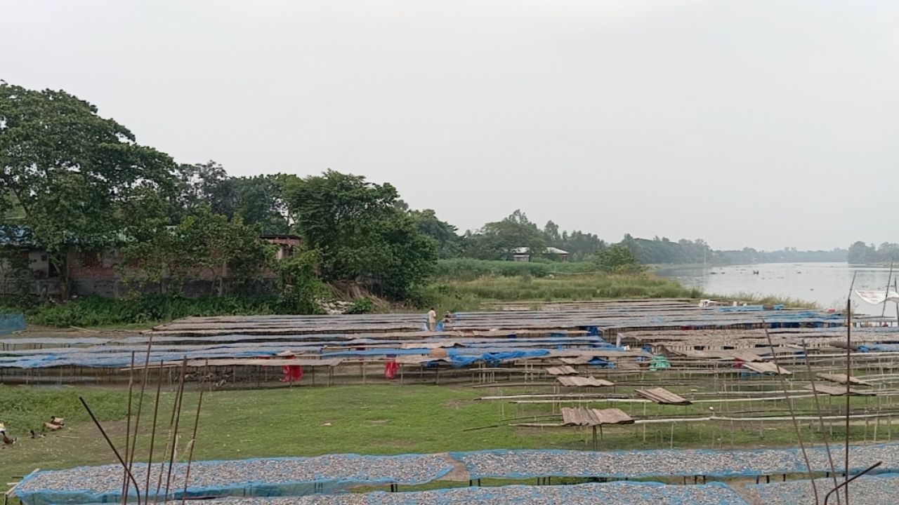 মাছ থেকে শুঁটকি, বদলে যাচ্ছে জীবন