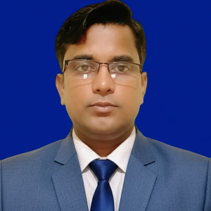 মো.হামিদুল ইসলাম 