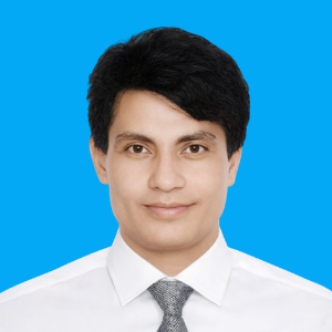 রাজ চৌধুরী