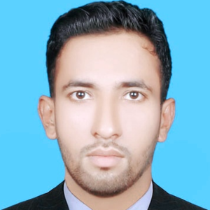 মো. মানিক হোসেন